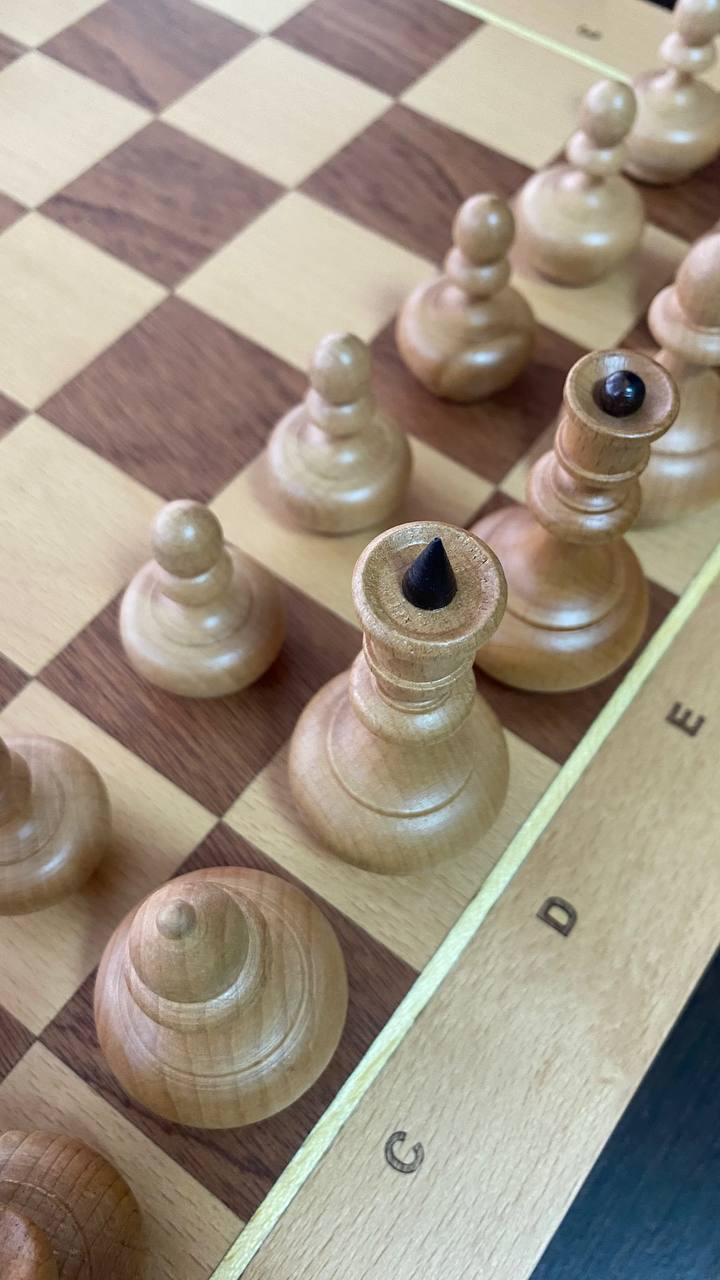 Шахматы Woodgames, бук